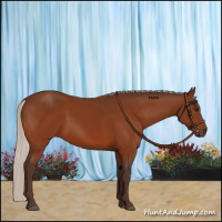 Horse Color:Silver Brown 