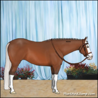 Horse Color:Silver Brown Splash