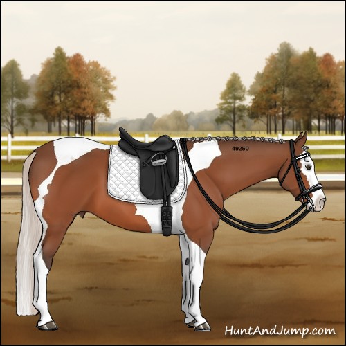 Horse Color:Silver Brown Splash Tobiano