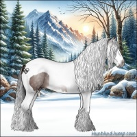 Horse Color:Gray Bay Splash Tobiano 