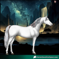 Horse Color:Gray Painted Chestnut 