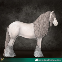 Horse Color:Platinum Bay Pearl Tobiano
