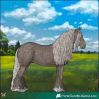 Horse Color:Silver Black 