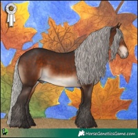 Horse Color:Silver Brown