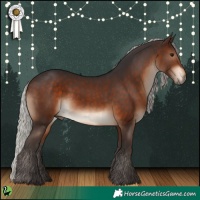 Horse Color:Silver Brown 