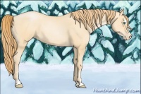Horse Color:Smoky Black Pearl Sabino 