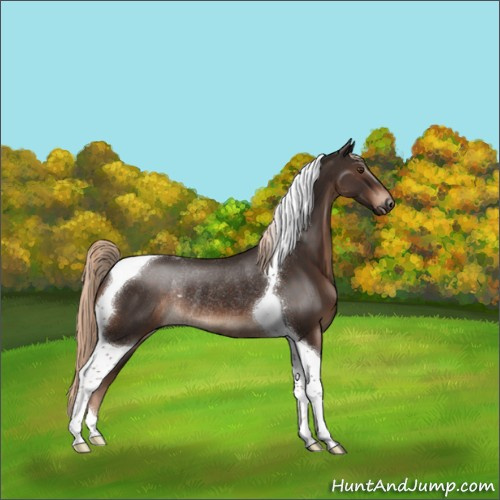 Horse Color:Liver Chestnut Tobiano Rabicano