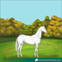 Horse Color:Liver Chestnut Mushroom Tobiano Blanket Rabicano 