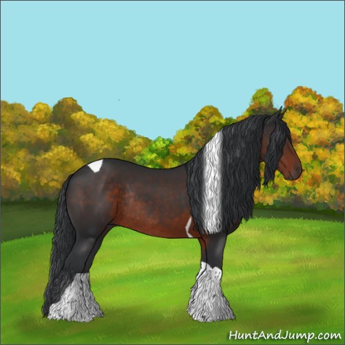 Horse Color:Brown Tobiano Rabicano
