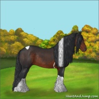 Horse Color:Brown Tobiano Rabicano