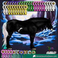 Horse Color:ERROR: UNKNOWN ANOMALY