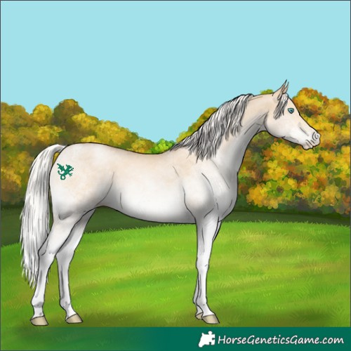 Horse Color:White Spotted Silver Buckskin Pearl Dun Rabicano 