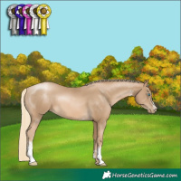 Horse Color:Chocolate Palomino Pearl Mushroom Sabino 