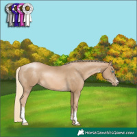 Horse Color:Chocolate Palomino Pearl Mushroom Sabino