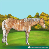 Horse Color:Silver Bay Tobiano and White Spotted Silver Buckskin