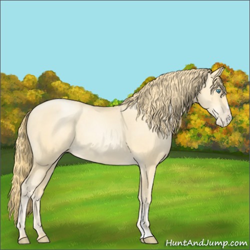 Horse Color:Buckskin Pearl Sabino 