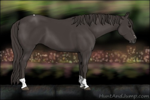 Horse Color:Smoky Black Sabino Tobiano 
