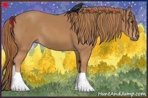 Horse Color:Chestnut Rabicano 