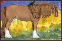 Horse Color:Chestnut Rabicano 
