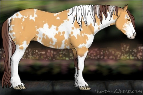 Horse Color:White Spotted Chocolate Buckskin Sabino