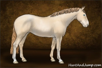 Horse Color:Buckskin Pearl Sabino 