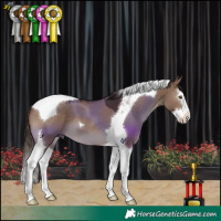 Horse Color:Liver Red Dun Splash Tobiano 
