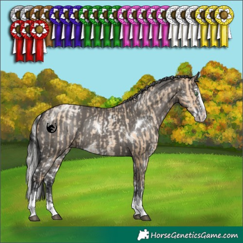 Horse Color:White Spotted Silver Grullo Pearl Sabino Splash Rabicano and White Spotted Grullo Splash Tobiano Rabicano