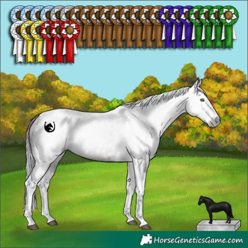 Horse Color:Gray Grullo Splash Tobiano Rabicano