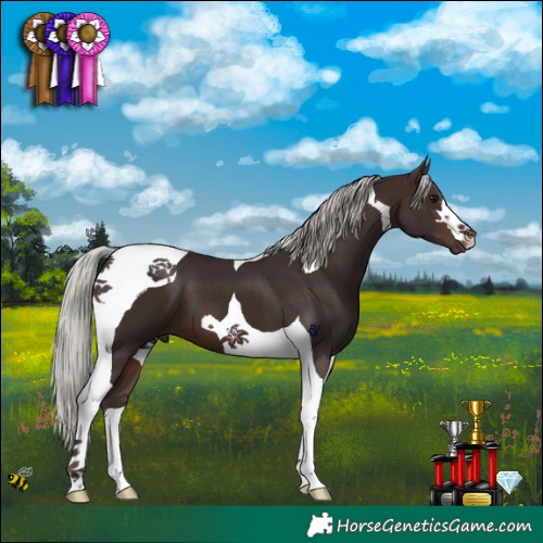 Horse Color:Silver Brown Tobiano 