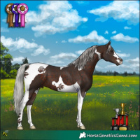 Horse Color:Silver Brown Tobiano 
