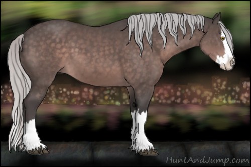 Horse Color:Platinum Silver Brown Sabino Splash 