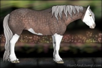 Horse Color:Platinum Silver Brown Splash 