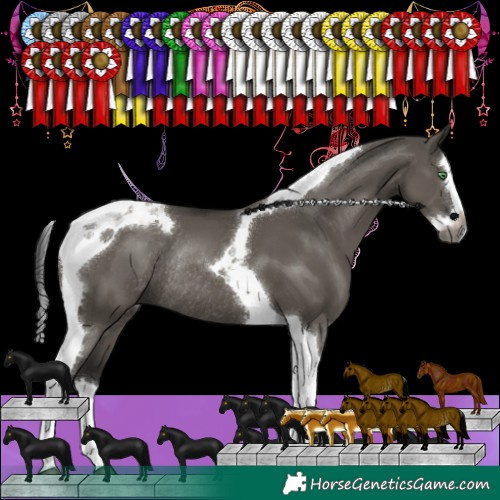 Horse Color:Gray Grullo Splash Tobiano Rabicano 