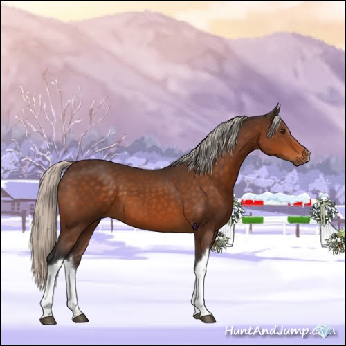 Horse Color:Silver Buckskin 