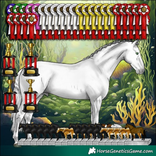 Horse Color:Gray White Spotted Grullo Splash Tobiano Rabicano 