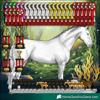 Horse Color:Gray White Spotted Grullo Splash Tobiano Rabicano