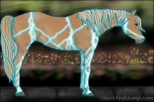 Horse Color:Thunderstruck Chestnut 