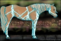 Horse Color:Thunderstruck Chestnut 