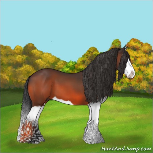 Horse Color:Bay Splash 