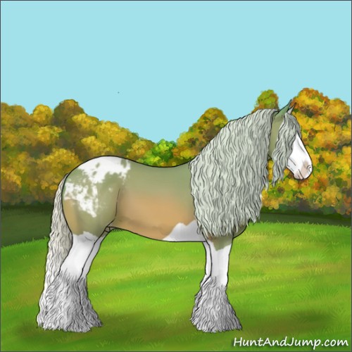 Horse Color:Watercolor Silver Bay Splash Appaloosa 