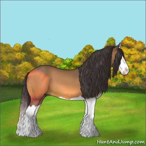 Horse Color:Buckskin Splash 