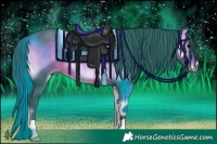 Horse Color:Watercolor Brown Onyx Rabicano 