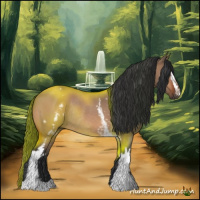 Horse Color:White Spotted Bay Dun Rabicano 
