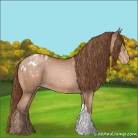 Horse Color:Brown Pearl Appaloosa 