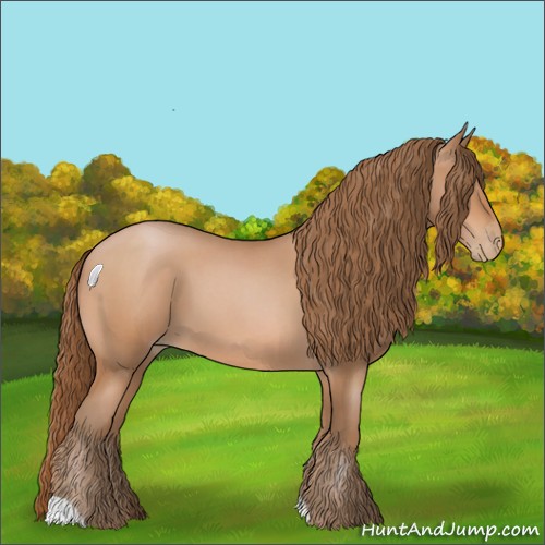 Horse Color:Bay Roan Pearl 