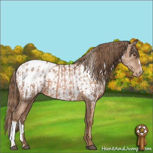 Horse Color:Silver Brown Pearl Appaloosa  and Liver Chestnut Pearl Appaloosa 