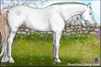 Horse Color:Gold Champagne Dun Near Leopard