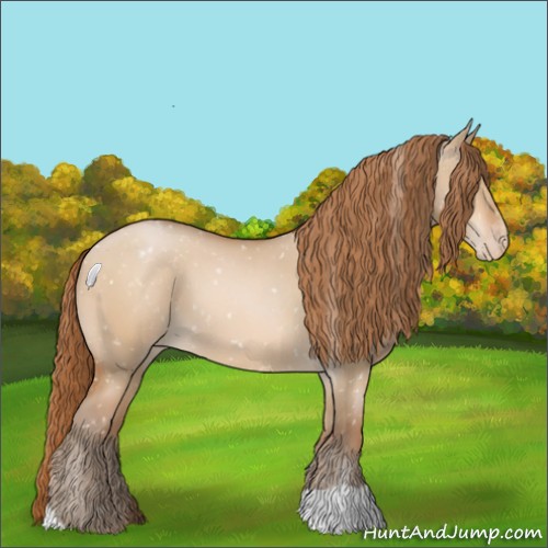 Horse Color:Bay Pearl Dun Appaloosa 