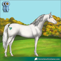 Horse Color:Silver Smoky Creme Roan 