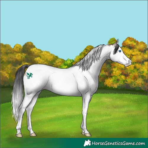 Horse Color:Brown Dun Splash Tobiano Rabicano